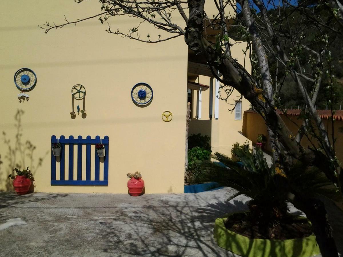 Harmony House Lägenhet Agia Paraskevi  Exteriör bild